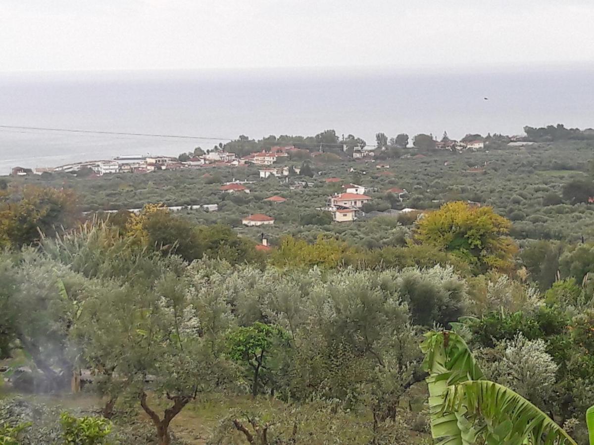 Estella Sorelle 1 Λογγά Εξωτερικό φωτογραφία